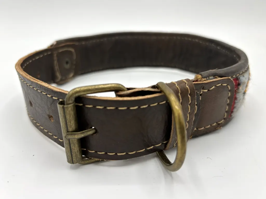 The back of a Medina Mosaic collar: stitched brown leather strap, brass-tone buckle and D-ring