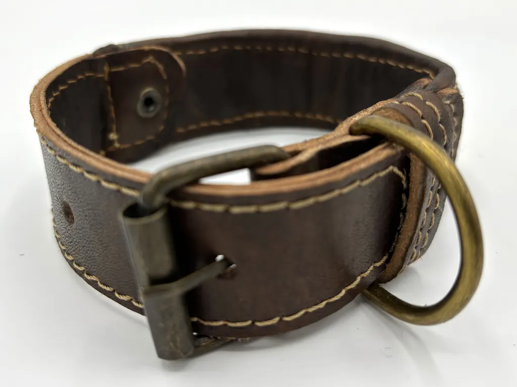 Arabian Nights collar from the back — brass-tone buckle, D-ring and stitched leather