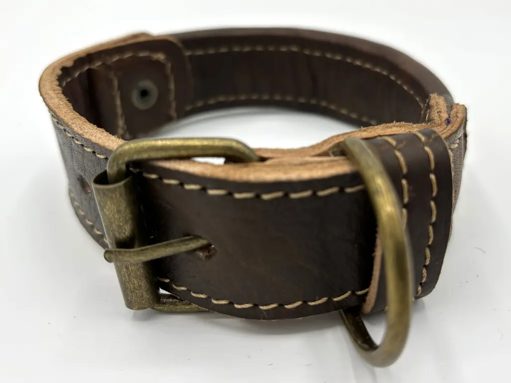 Atlas Adventure collar from the back — brass-tone buckle and D-ring on full-grain leather