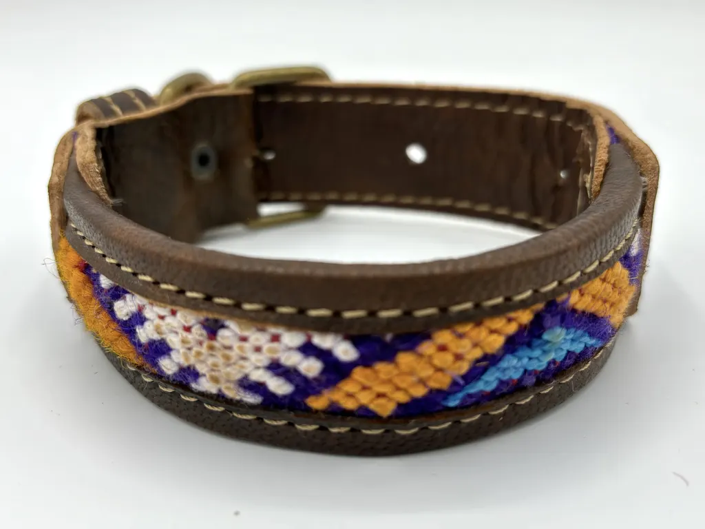 A smaller Atlas Adventure collar showing the violet and saffron weave