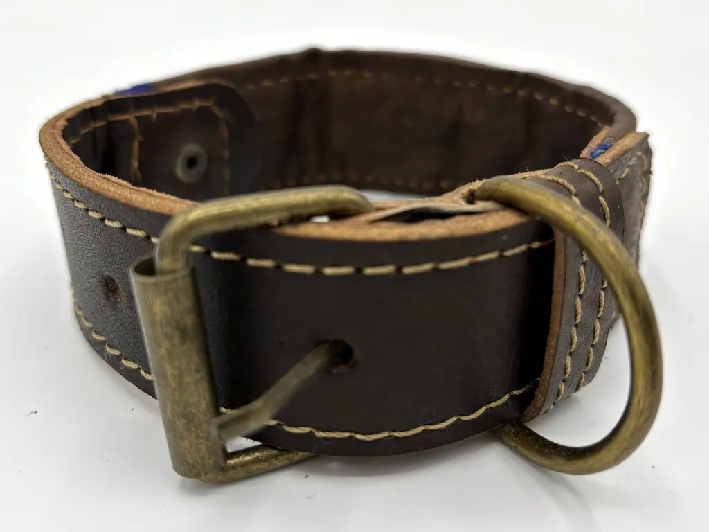 Caravan Dreams collar from the back — brass-tone buckle and D-ring on full-grain leather